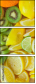 40402508