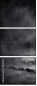 40411231