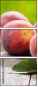 42496953