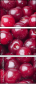 43026743