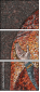 43238963