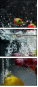 43487877