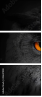 43647000