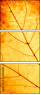43838542