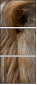44169584