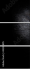 44285895