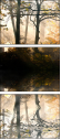44630410