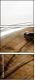 44672991