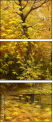 45637975