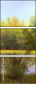 45638836
