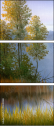 45640088