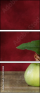 45812888