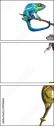 45946464
