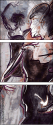 46957513