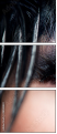 48588820
