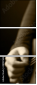 48987688