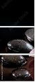 49497530