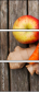 49579285