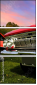5005026