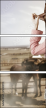 50401715