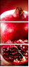 50426615