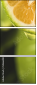 50666087