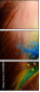 50908803