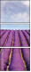 5101638
