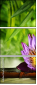 51188195