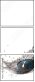 51554191