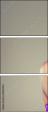 54860038