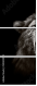 55022954