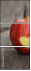 55484611