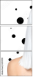 55595191
