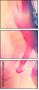 55958688