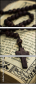 55994100