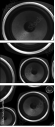 56799314