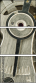 56949725