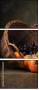 57583007