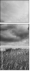 58462234