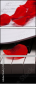 59304443