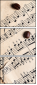59335955