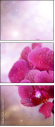 59767578