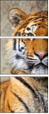 59798134