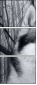 60177878