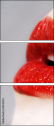 60543232