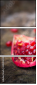 61040220