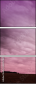65457825