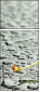 67079233