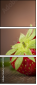 67189229